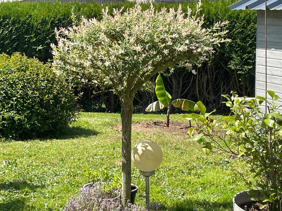 Esquay-sur-Seulles Le Doux Refuge B&B 외부 사진